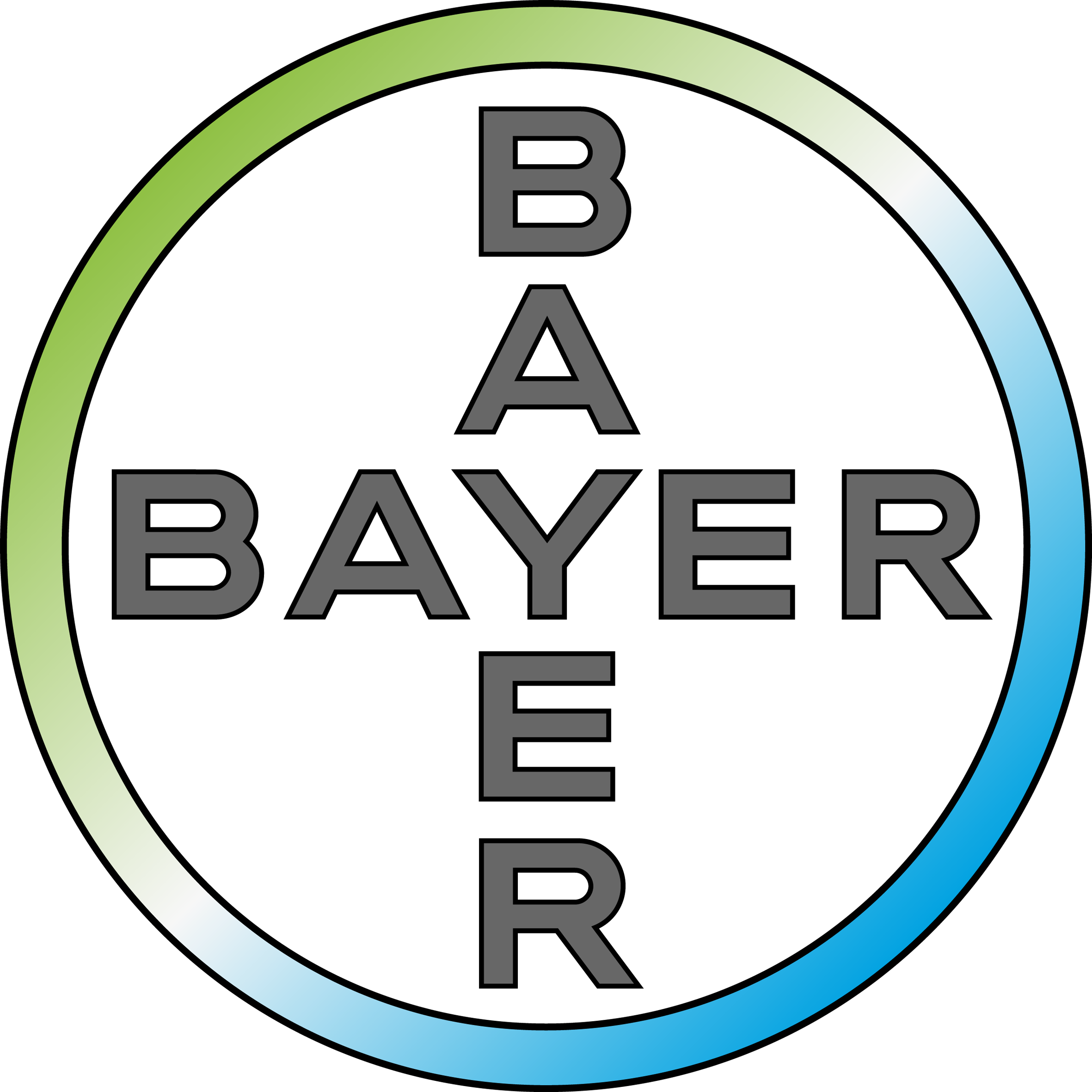 Bayer Cross - Colour.png
